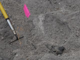 Verscharrt & vergraben - Mord verjaehrt nicht