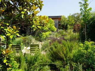 Natur im Garten