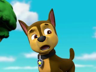 Paw Patrol: Helfer auf vier Pfoten