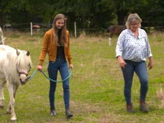 Fuer immer beste Freunde Ein Tier fuers Leben