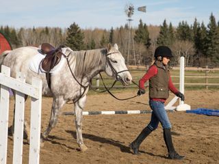 Heartland - Paradies fuer Pferde