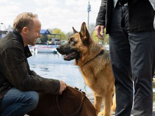 Kommissar Rex: Galgenmaennchen