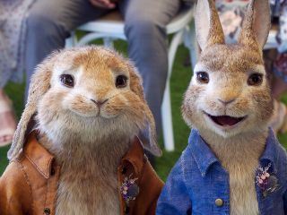 Peter Hase 2 - Ein Hase macht sich vom Acker