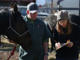 Die Yukon-Tieraerztin
