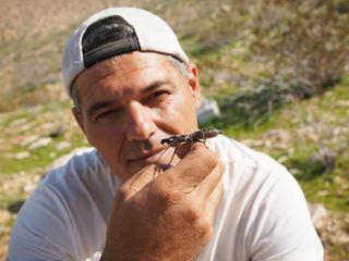 Wild Frank - Abenteuer in Kalifornien