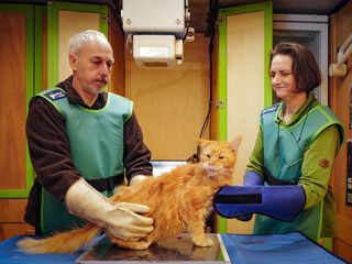 Pferd, Katze, Kuh: mobile Hilfe fuer Tiere