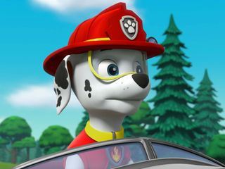 Paw Patrol - Helfer auf vier Pfoten