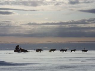Life Below Zero - Überleben in Alaska