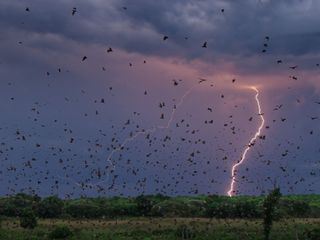 Ein perfekter Planet