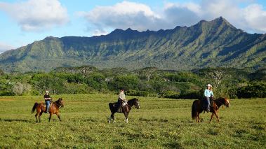 Hawaii Hunters Hawaii Hunters
