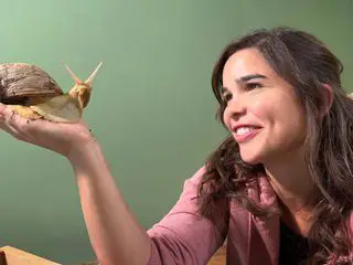 Anna und die Haustiere