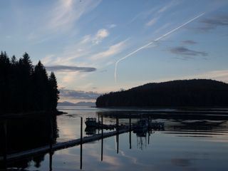 Fear Island - Im Reich der Riesenbaeren