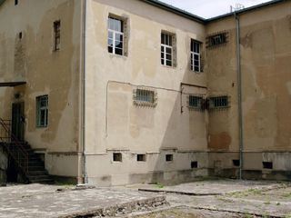 Stalin und die Deutschen