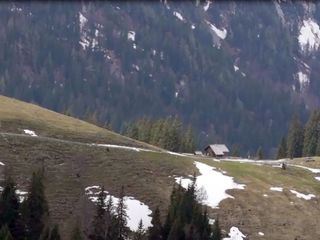 Muerztaler Waldgeschichten