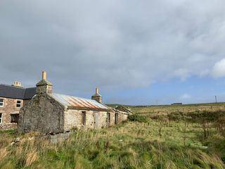 Forensik: Dem Moerder auf der Spur