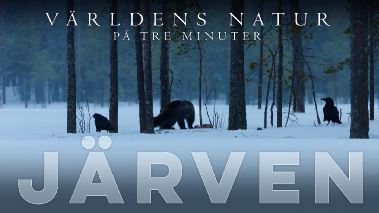 Vaerldens natur: På tre minuter
