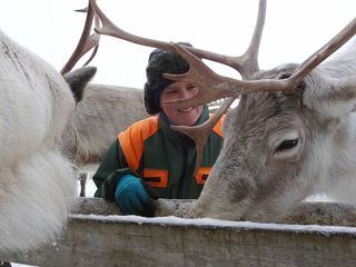 Nordische Tiergeschichten