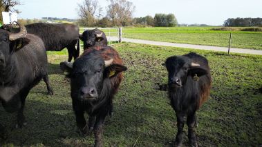 Helden der Landwirtschaft