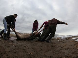 Life Below Zero - Überleben in Alaska