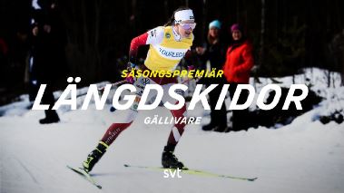 Skidor: Gaellivare