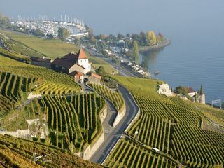 Die Weinterrassen des Lavaux Die Weinterrassen des Lavaux