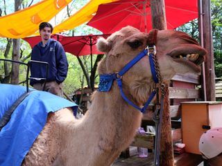 Bronx Zoo - Tierpark der Superlative