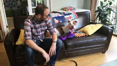 Pitbulls auf Bewaehrung