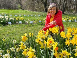 Expedition in die Heimat