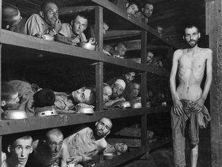 Die USA und der Holocaust