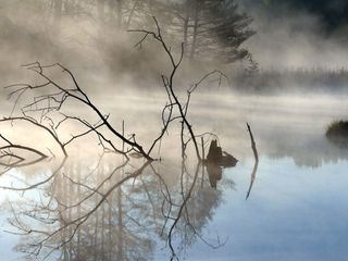 Der Neckar