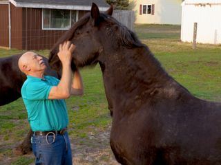 Der unglaubliche Dr. Pol