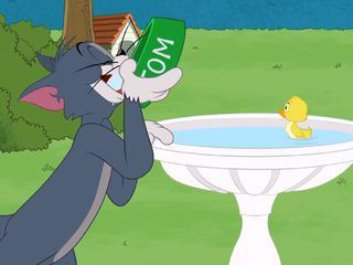 Die Tom und Jerry Show