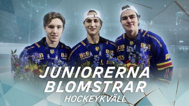 Hockeykvaell