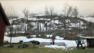 Med roetterna i snoen (samiska)