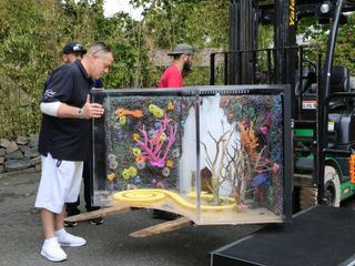 Die Aquarium-Profis Die Aquarium-Profis