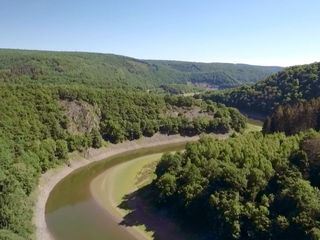 Wild im Westen - Die Eifel
