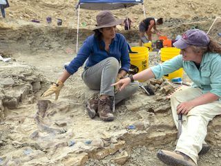 Geheimnisse der Jurassic-Saurier Geheimnisse der Jurassic-Saurier