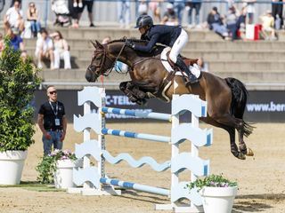 Springreiten: Global Champions Tour Cannes