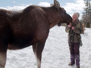 Vom Fjell zu den Fjorden