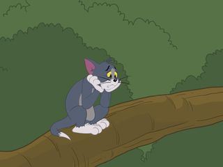Die Tom und Jerry Show
