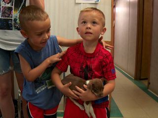 Der unglaubliche Dr. Pol