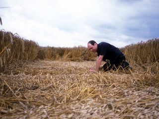 Is It Real? Is It Real?