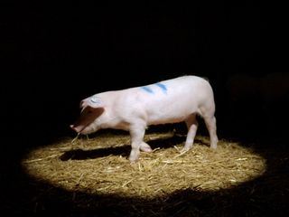 42 - Die Antwort auf fast alles