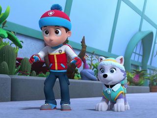 Paw Patrol: Helfer auf vier Pfoten