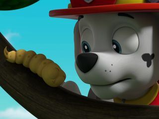Paw Patrol: Helfer auf vier Pfoten