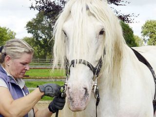Der XXL-Ostfriese - Unterwegs mit Knochenbrecher Tamme Hanken