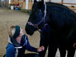 Heartland Docs - Die Tierarzt-Familie