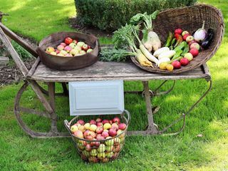 Mein leckerer Garten