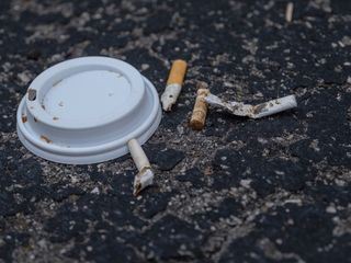 Forensik - Der Schluessel zur Wahrheit Forensik - Der Schluessel zur Wahrheit