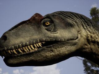 Geheimnisse der Jurassic-Saurier